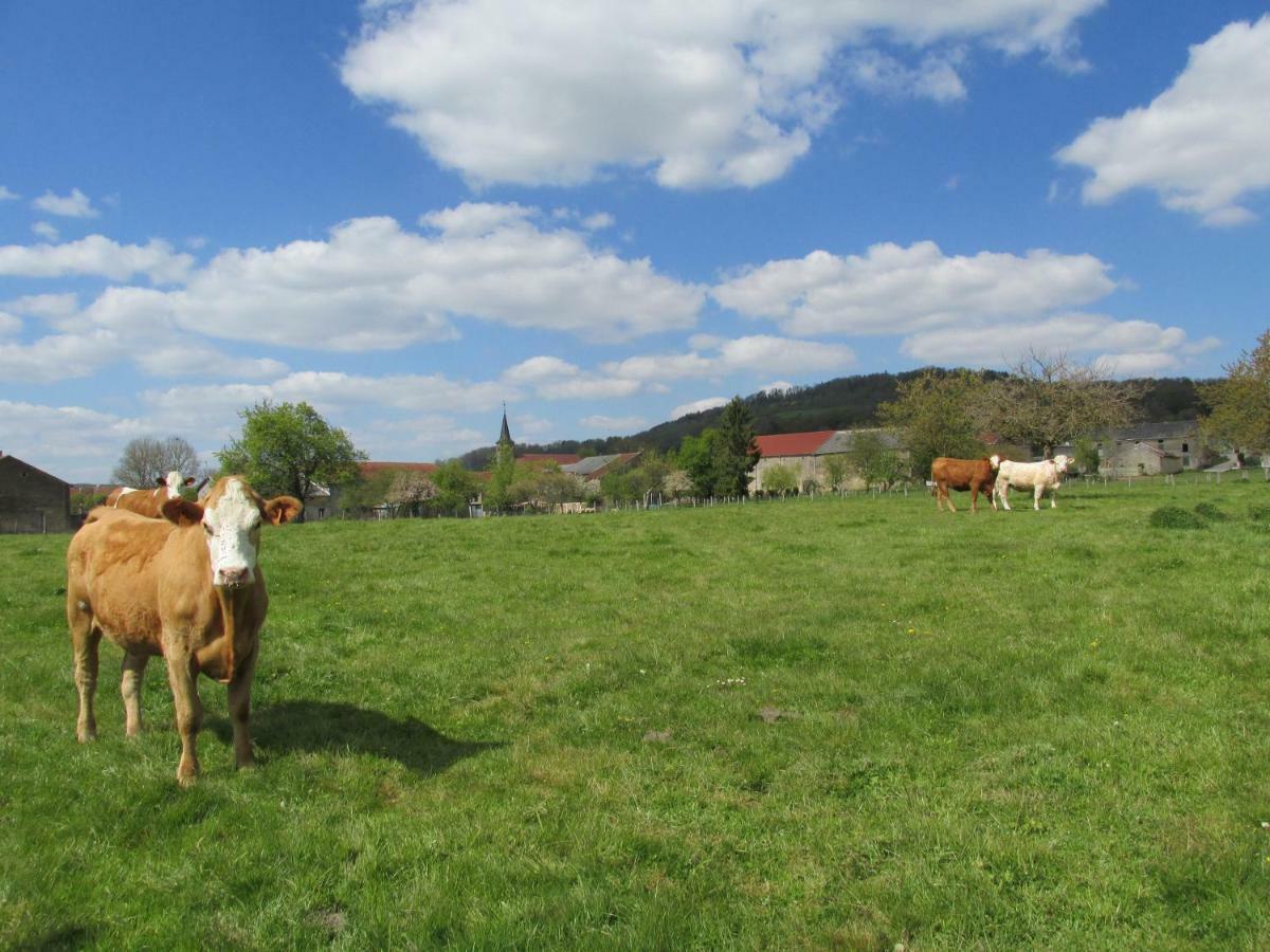 La Taniere Douce Bed & Breakfast Soulaucourt-sur-Mouzon ภายนอก รูปภาพ